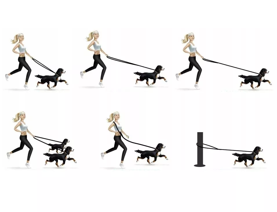 Smycz treningowa dla psa do tresury regulowana przepinana 155cm - obrazek 2