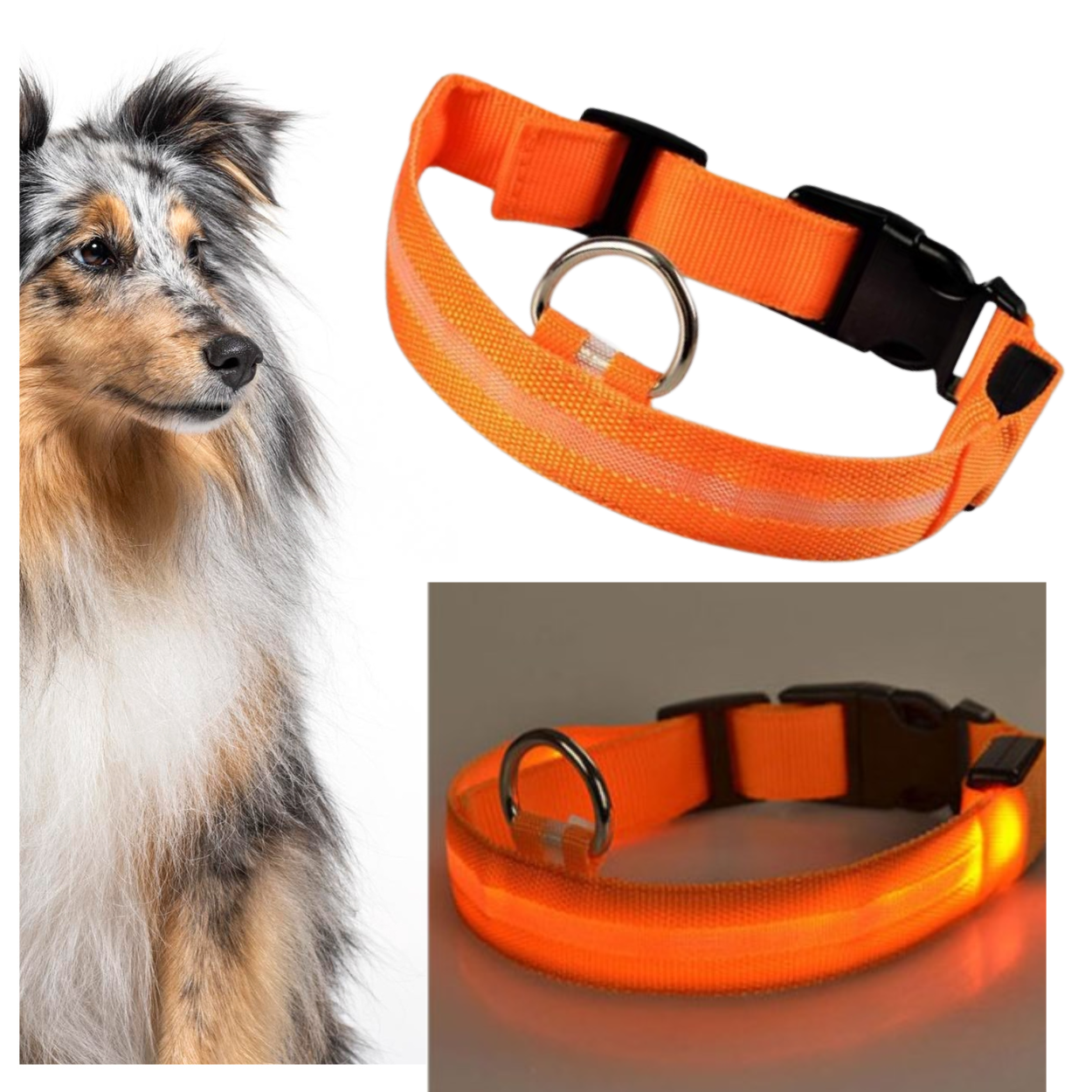 ŚWIECĄCA OBROŻA LED DLA PSA KOTA ROZMIAR M POMARAŃ