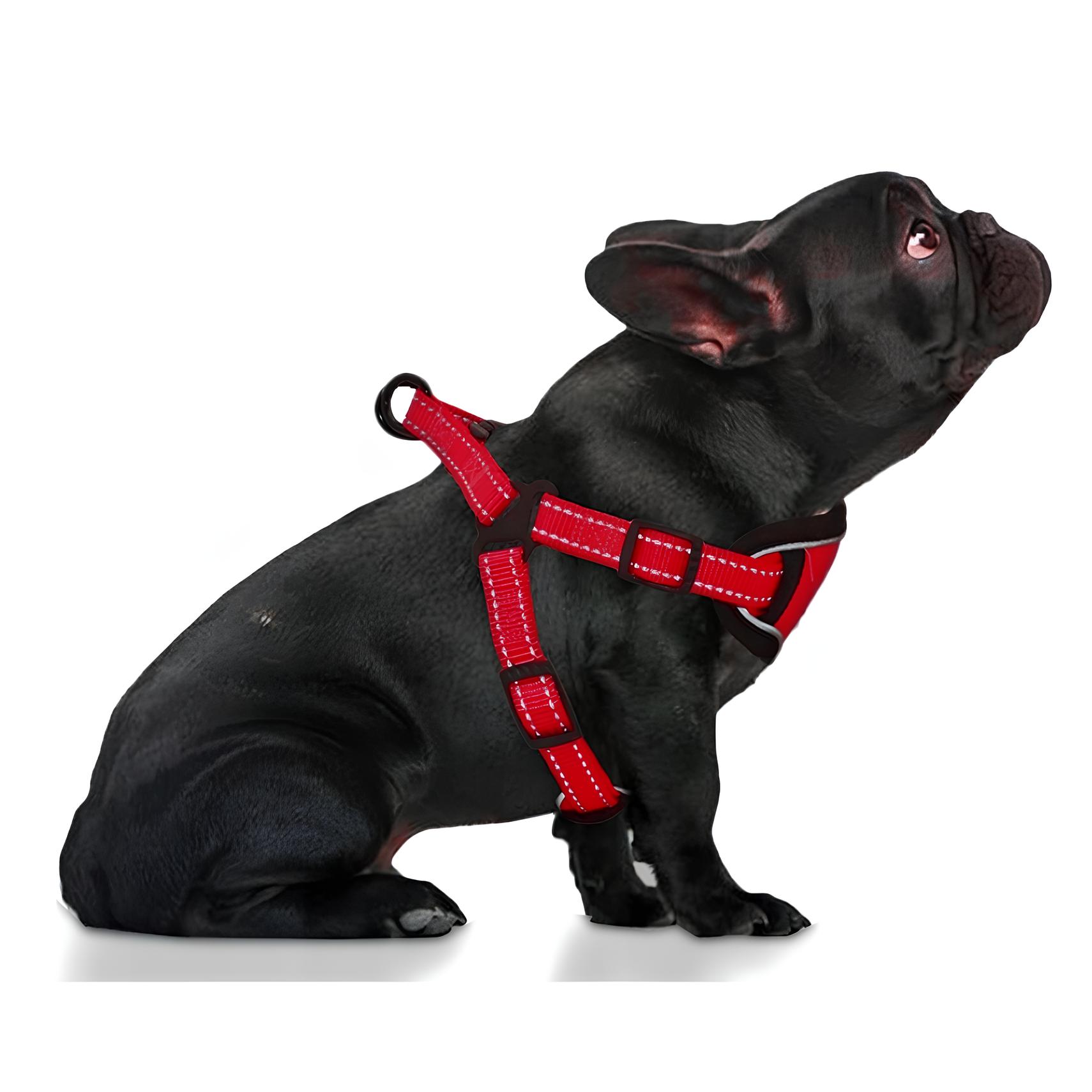 NUXIE® Szelki bezuciskowe dla psa mocne lekkie l - obrazek 4