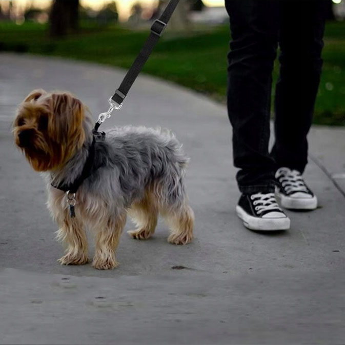 NUXIE® Smycz bezpieczeństwa do auta dla psa kota krótka samochodu na zagłówek 73cm - obrazek 4