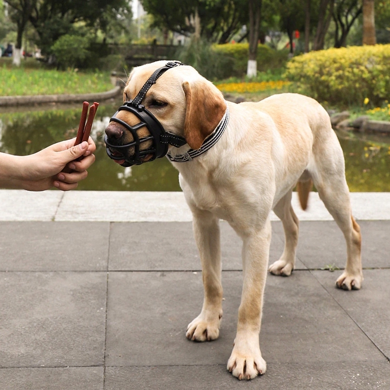 NUXIE® Kaganiec fizjologiczny dla psa gumowy regulowany wygodny oddychający rozmiar l - obrazek 5