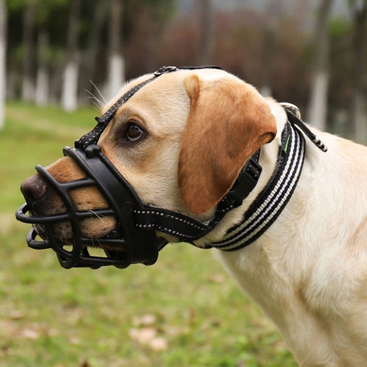 NUXIE® Kaganiec fizjologiczny dla psa gumowy regulowany wygodny oddychający rozmiar l - obrazek 6