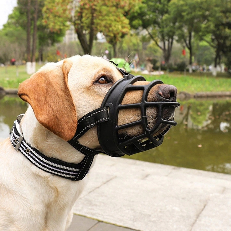 NUXIE® Kaganiec fizjologiczny dla psa gumowy regulowany wygodny oddychający rozmiar l - obrazek 7