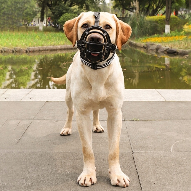 NUXIE® Kaganiec fizjologiczny dla psa gumowy regulowany wygodny oddychający rozmiar l - obrazek 8