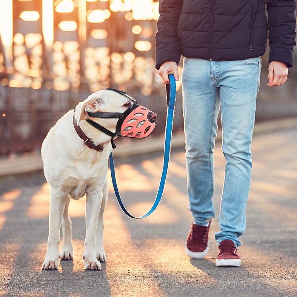 NUXIE® PREMIUM Kaganiec dla psa gumowy regulowany wygodny oddychający rozmiar xs - obrazek 9