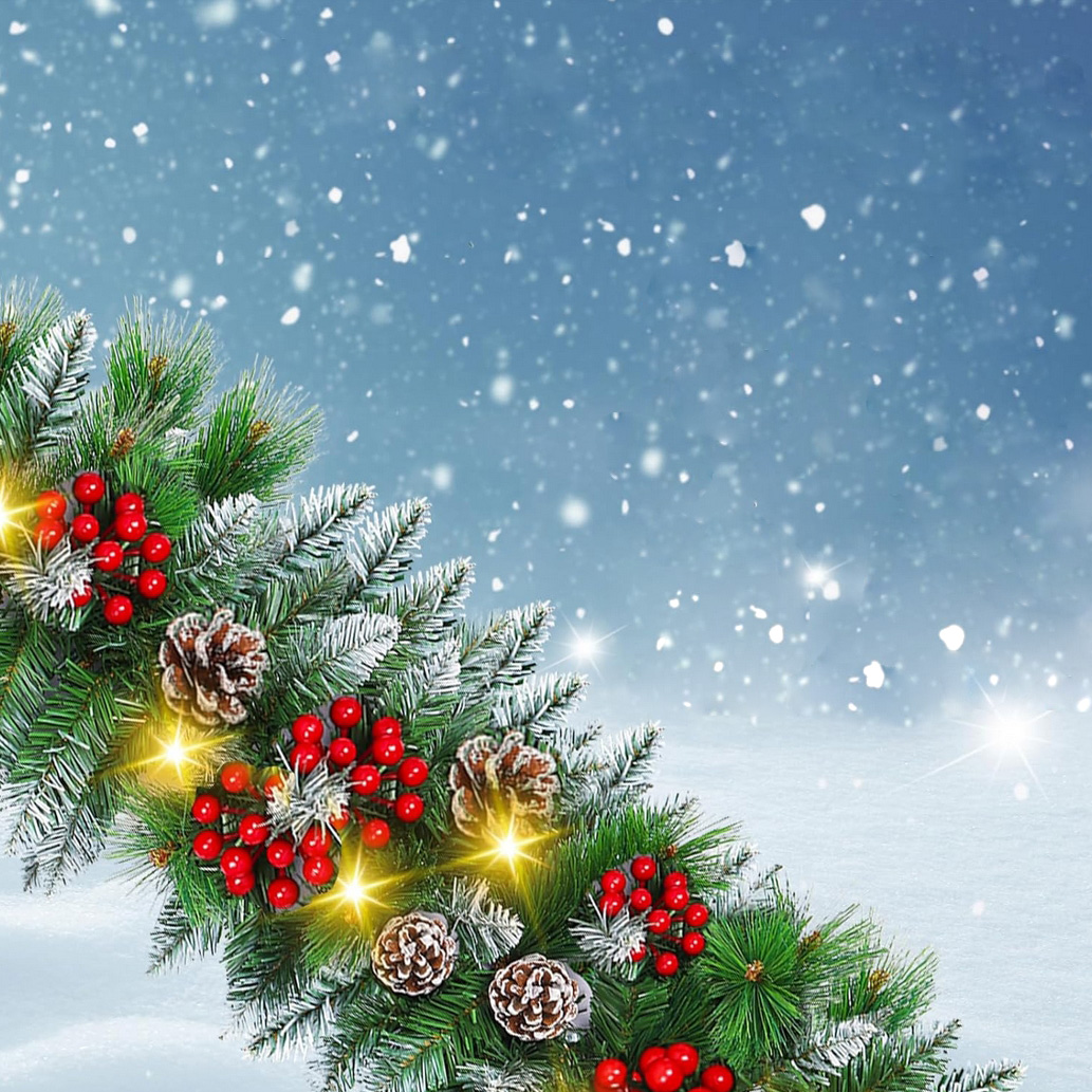 Girlanda na choinka choinkę świąteczna choinkowa gruba programator 8 trybów PREMIUM 100 led 310cm - obrazek 3