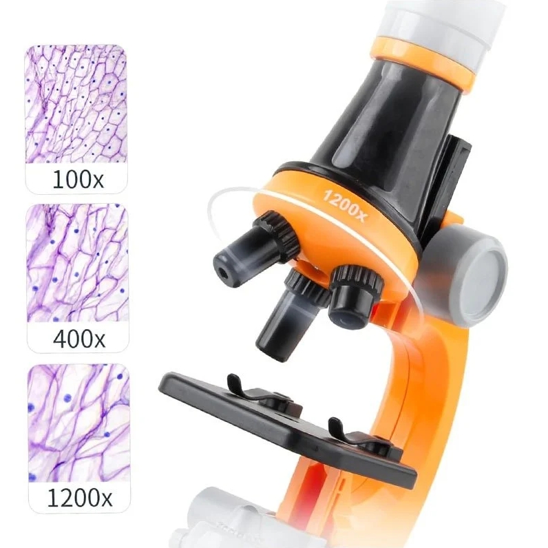 PLAYJOY Mikroskop naukowy optyczny laboratoryjny edukacyjny 3 obiektywy zoom 100x-1200x zestaw - obrazek 5