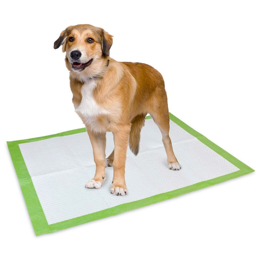 NUXIE® Mata dla psa podkłady higieniczne zielone xxl 25szt 60x90cm - obrazek 5