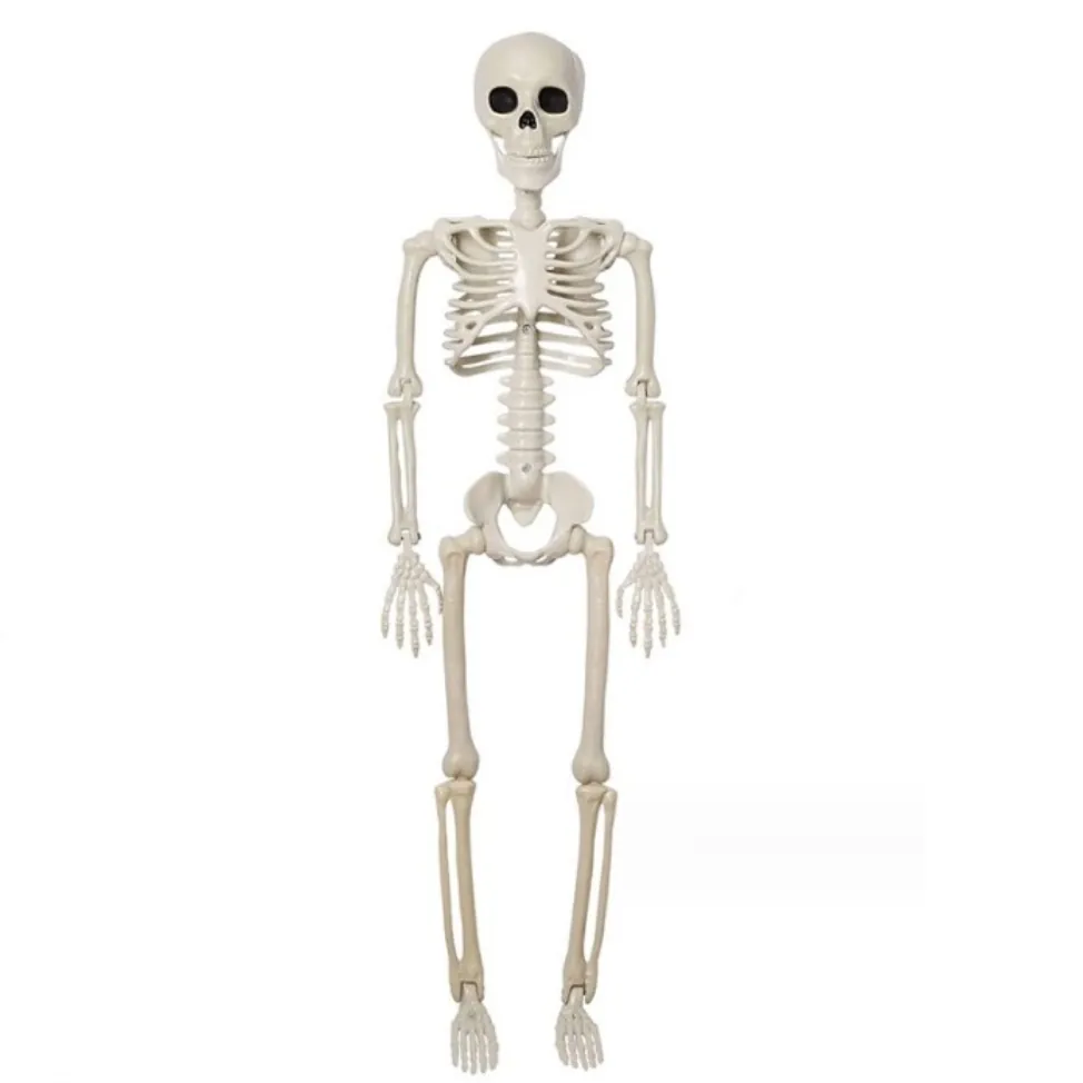Szkielet dekoracyjny z ruchomymi stawami ozdoba halloween 90cm