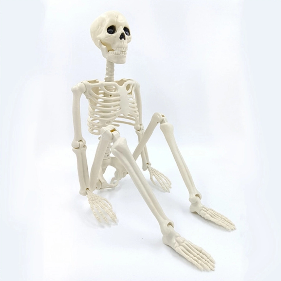 Szkielet dekoracyjny z ruchomymi stawami ozdoba halloween 90cm - obrazek 2