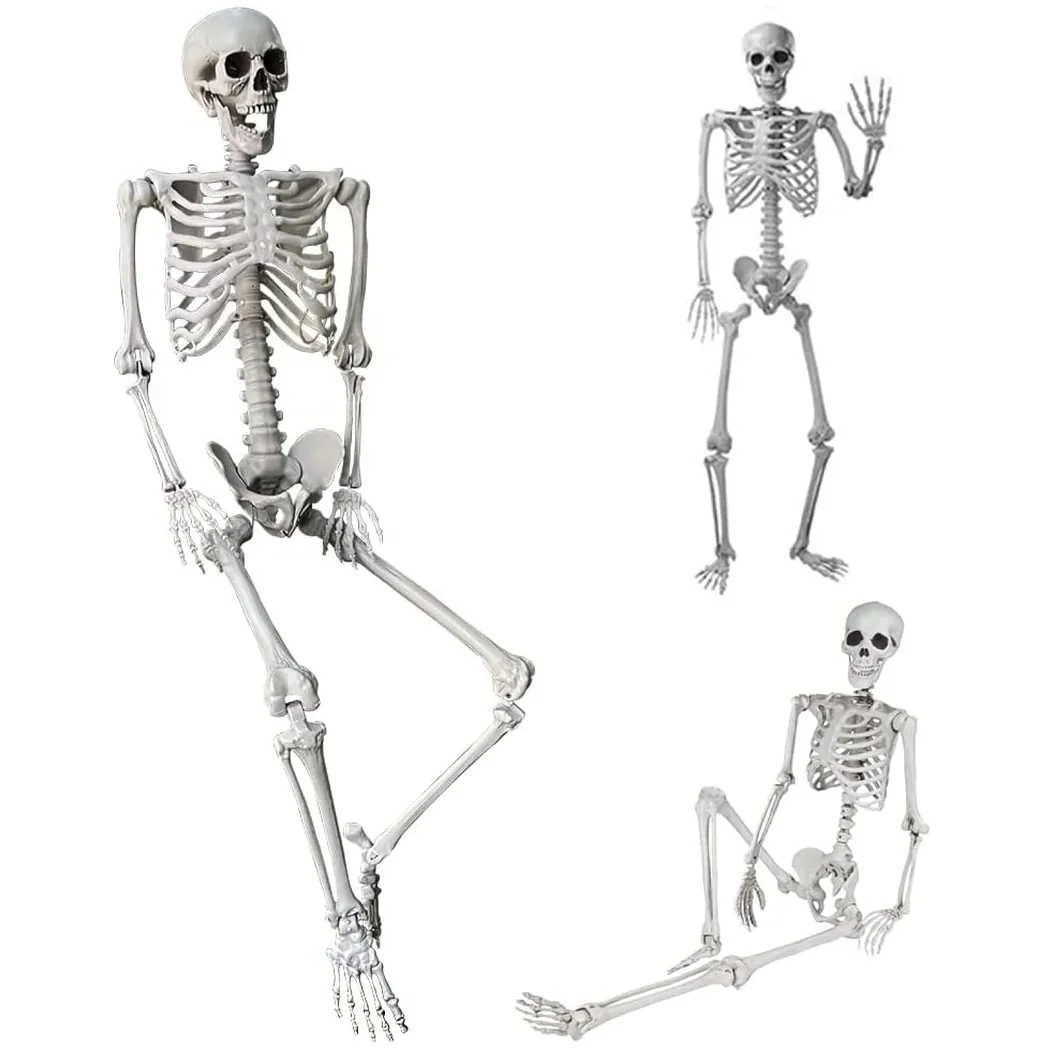 Szkielet dekoracyjny z ruchomymi stawami ozdoba halloween 165cm
