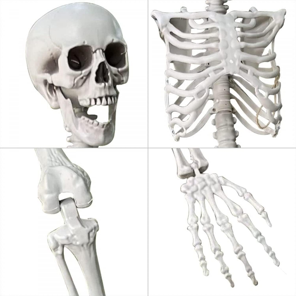 Szkielet dekoracyjny z ruchomymi stawami ozdoba halloween 165cm - obrazek 3