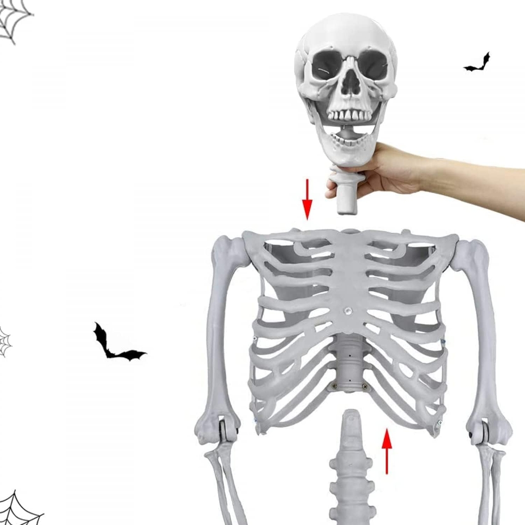 Szkielet dekoracyjny z ruchomymi stawami ozdoba halloween 165cm - obrazek 6